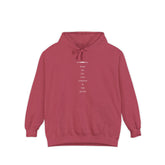B-2 Bomber Hoodie